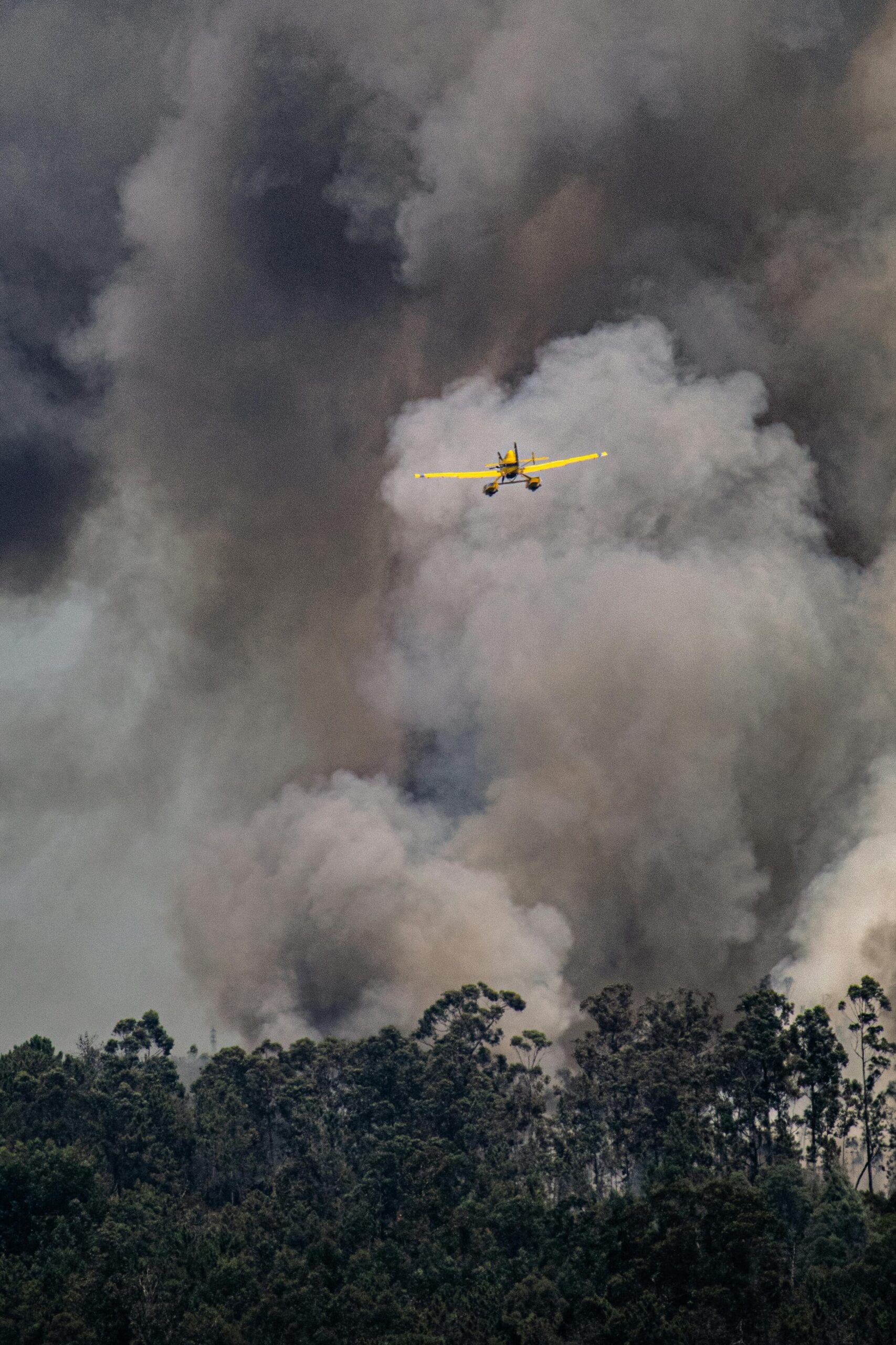 Airplane over wildfire