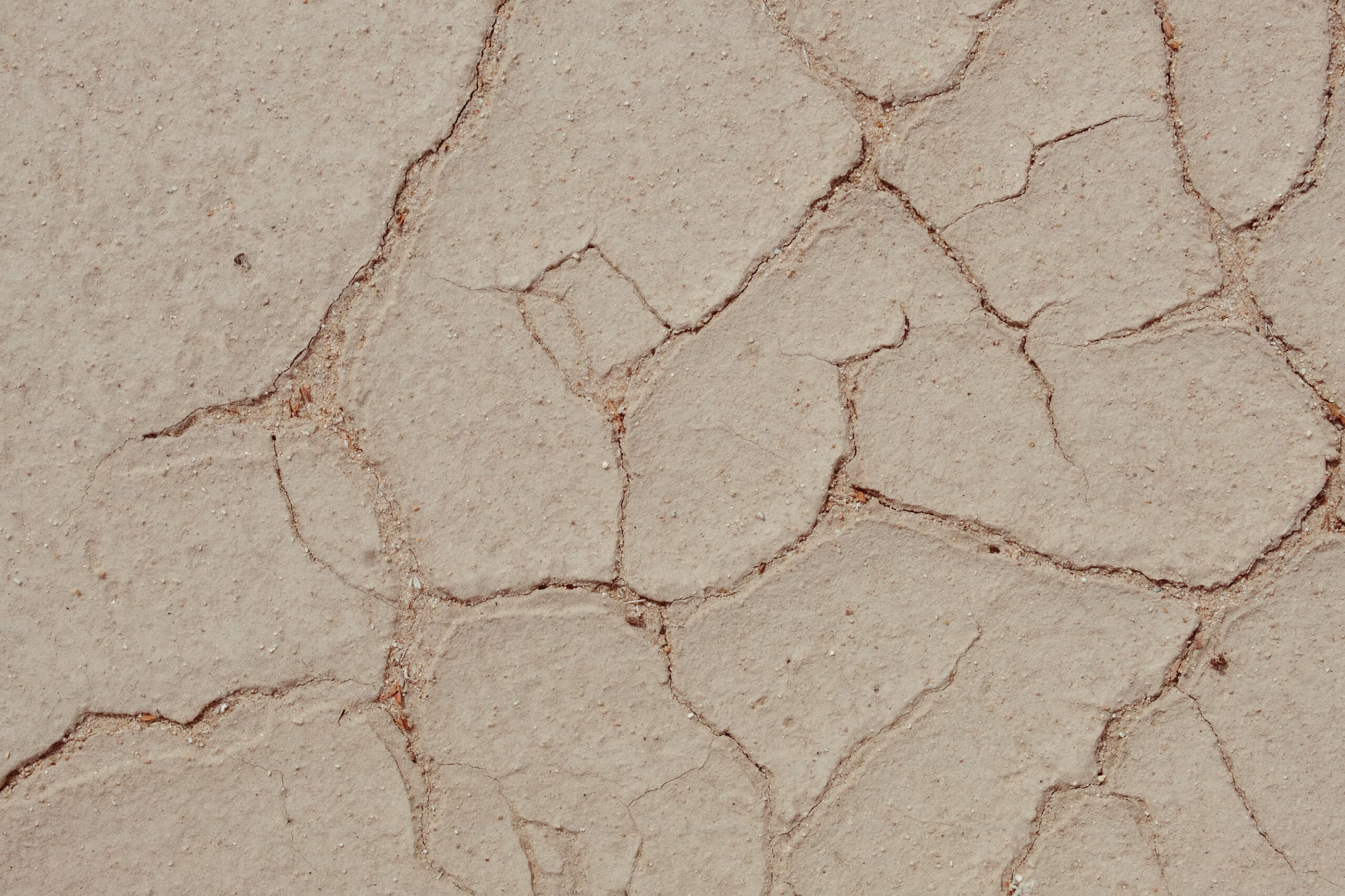 premium_photo-1688255283208-67d0076cba4e